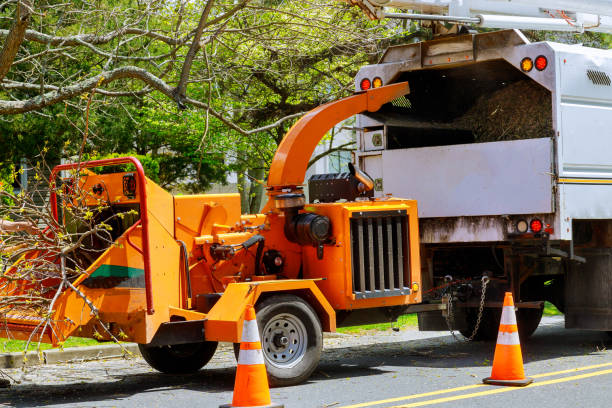 Best Utility Line Clearance  in Steele Creek, AK